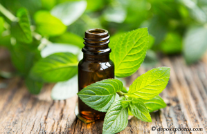 Williamson peppermint pain relieving benefits